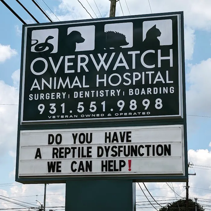 Overwatch Animal Hospital Picture 5