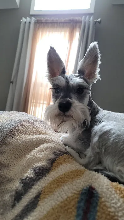 Overwatch Animal Hospital Picture 8