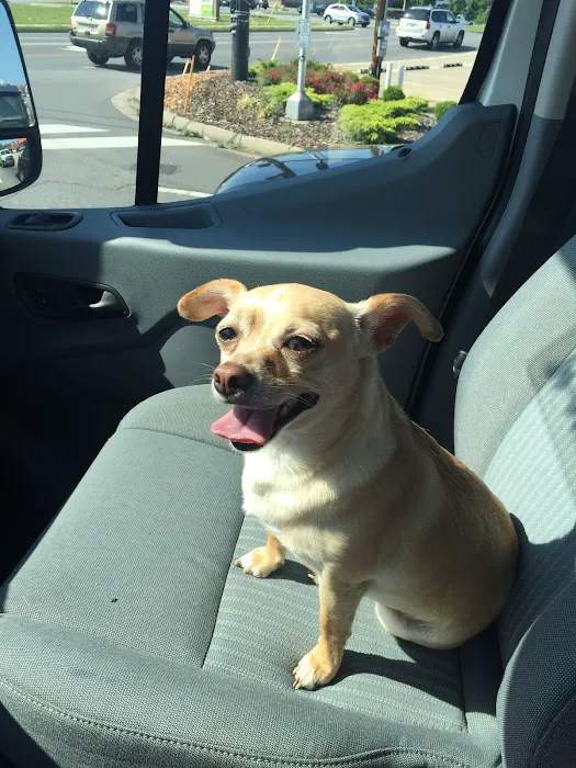 Animal House Veterinary Clinic Picture 7