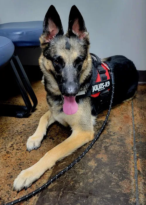 Animal House Veterinary Clinic Picture 4