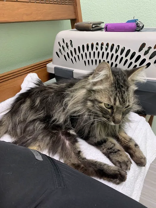 Animal House Veterinary Clinic Picture 6