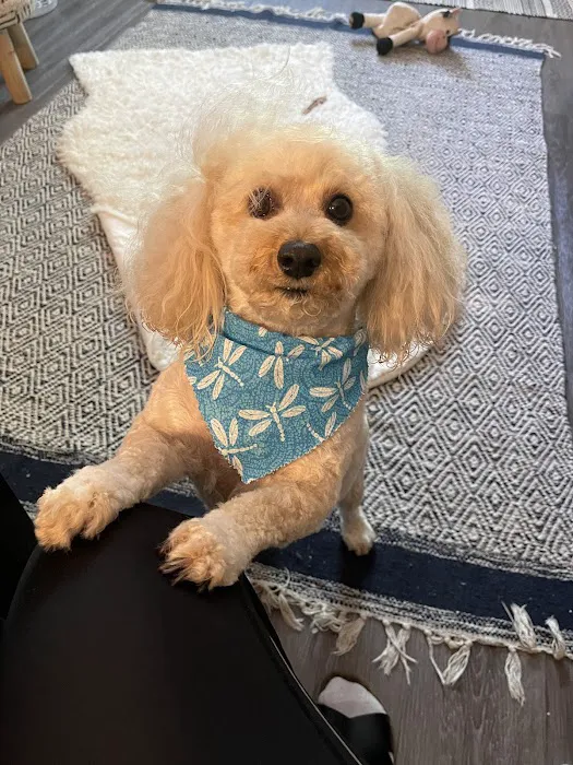 Animal House Veterinary Clinic Picture 5