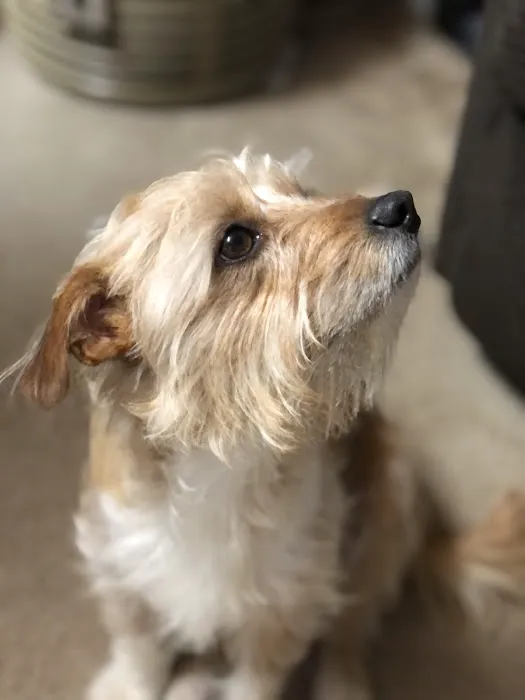 Animal House Veterinary Clinic Picture 8