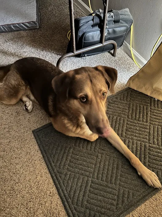 Animal House Veterinary Clinic Picture 9