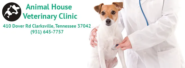 Animal House Veterinary Clinic Picture 10