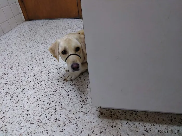 Animal Clinic of North Clarksville Picture 9