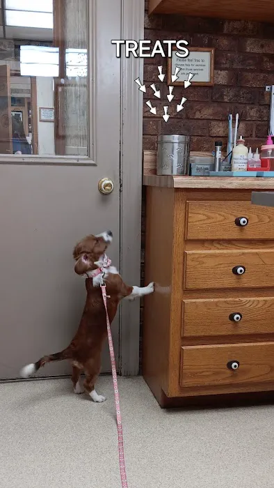 Animal Clinic of North Clarksville Picture 8