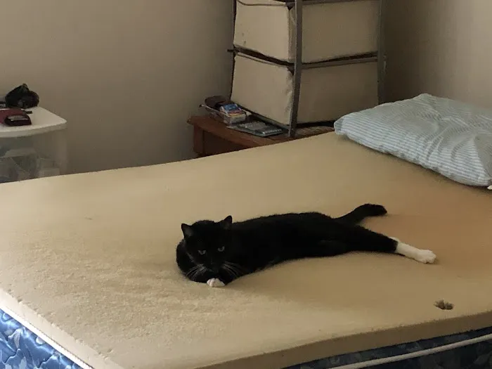 West Kentucky Veterinary Hospital (Formerly Westuck) Picture 2