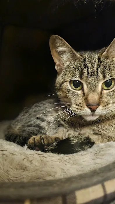 West Kentucky Veterinary Hospital (Formerly Westuck) Picture 1