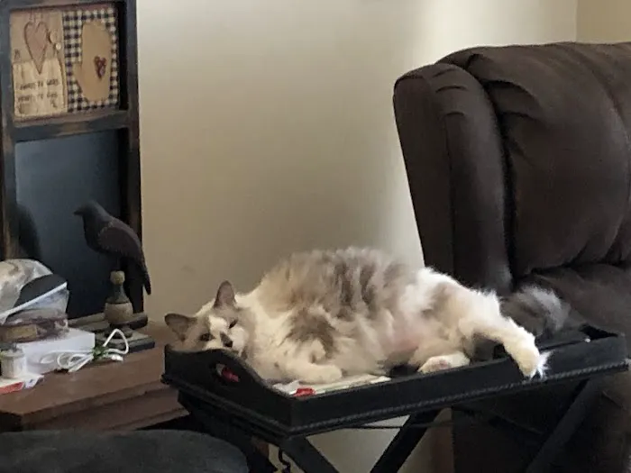 West Kentucky Veterinary Hospital (Formerly Westuck) Picture 3