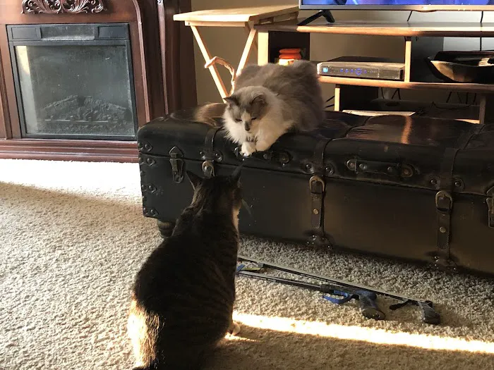 West Kentucky Veterinary Hospital (Formerly Westuck) Picture 8