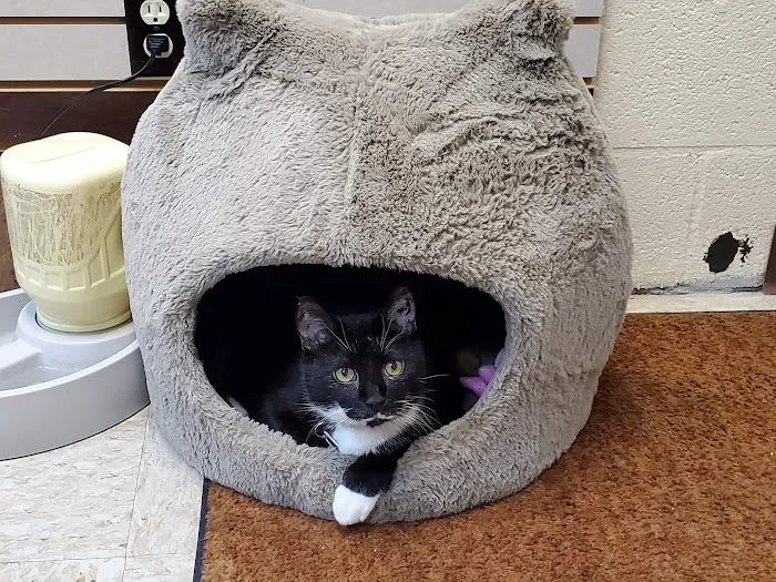 West Kentucky Veterinary Hospital (Formerly Westuck) Picture 10