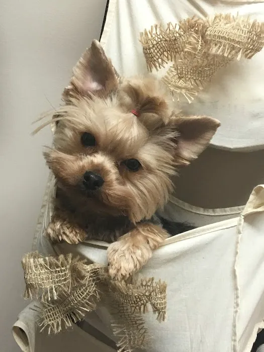 West Kentucky Veterinary Hospital (Formerly Westuck) Picture 5