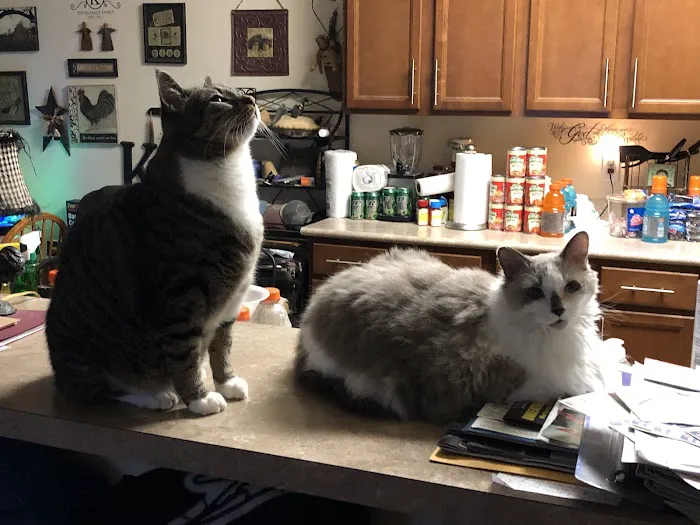 West Kentucky Veterinary Hospital (Formerly Westuck) Picture 7