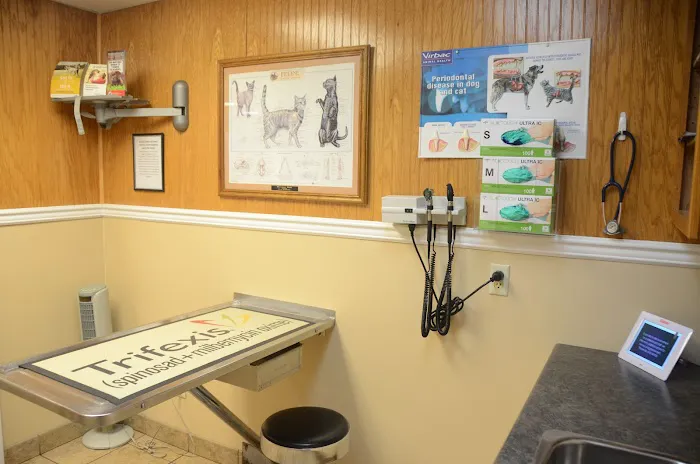 Oak Grove Animal Hospital Picture 4