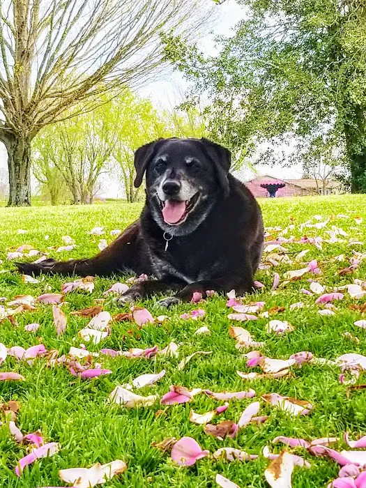 Oak Grove Animal Hospital Picture 7