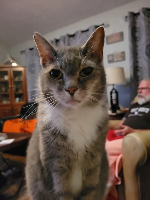 Oak Grove Animal Hospital Picture 2