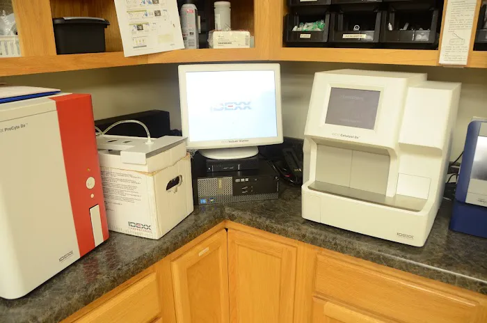 Oak Grove Animal Hospital Picture 6