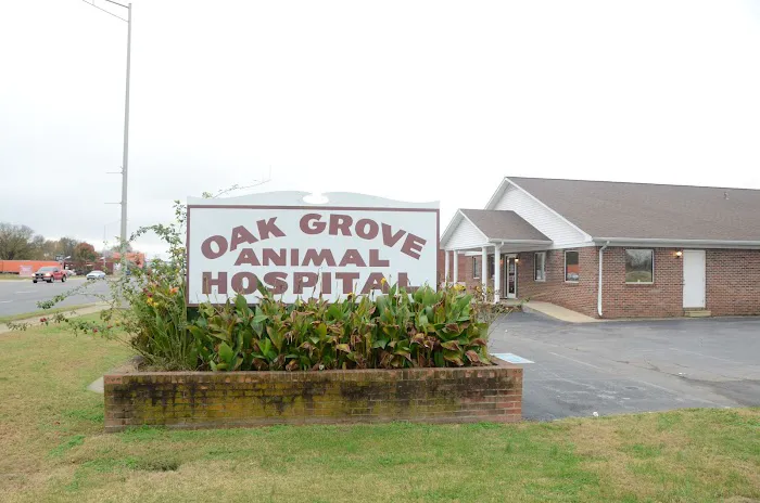 Oak Grove Animal Hospital Picture 5