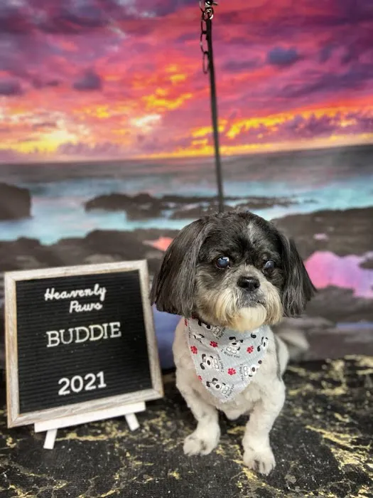 Oak Grove Animal Hospital Picture 9