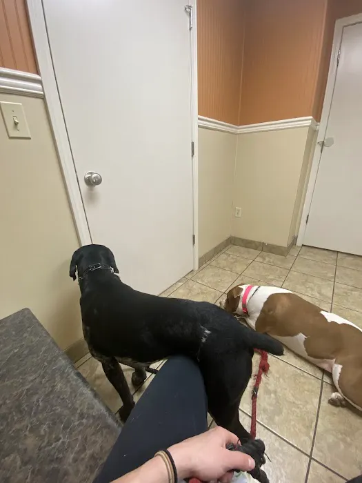 Oak Grove Animal Hospital Picture 10