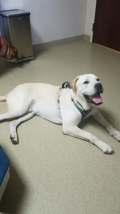 Fort Campbell Veterinary Center Picture 2