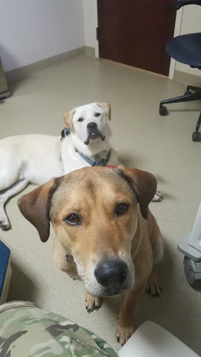 Fort Campbell Veterinary Center Picture 1