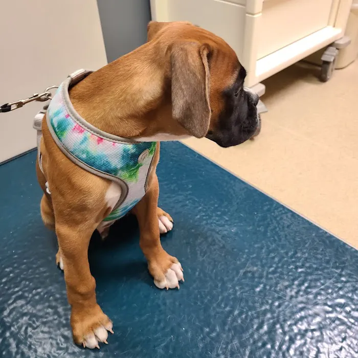 Fort Campbell Veterinary Center Picture 4