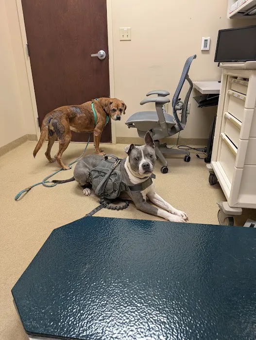 Fort Campbell Veterinary Center Picture 3