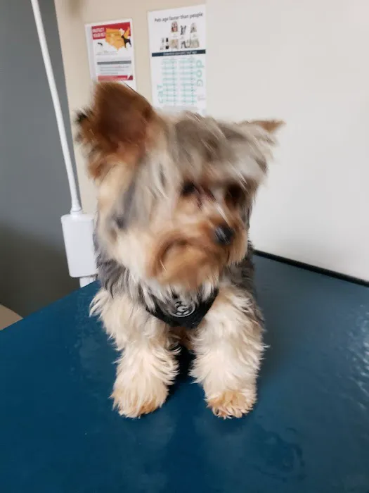 Fort Campbell Veterinary Center Picture 5