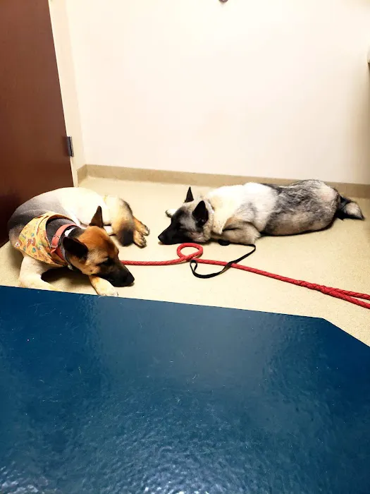 Fort Campbell Veterinary Center Picture 8