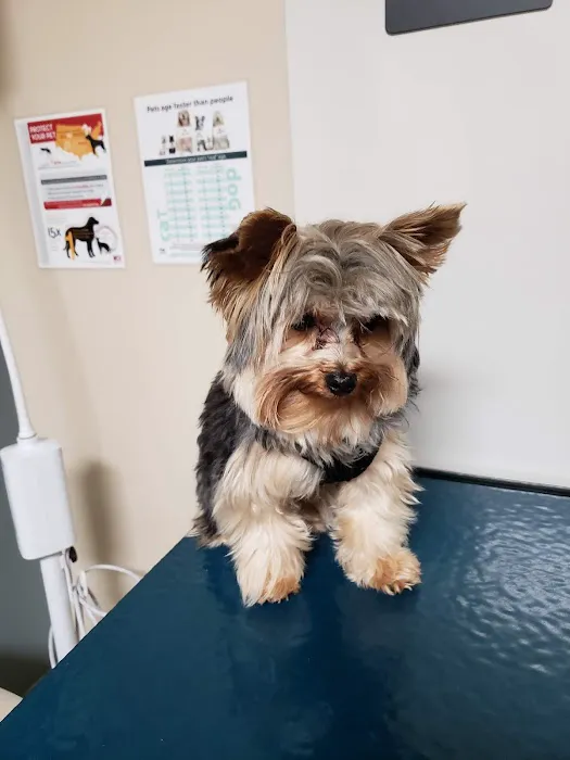 Fort Campbell Veterinary Center Picture 6