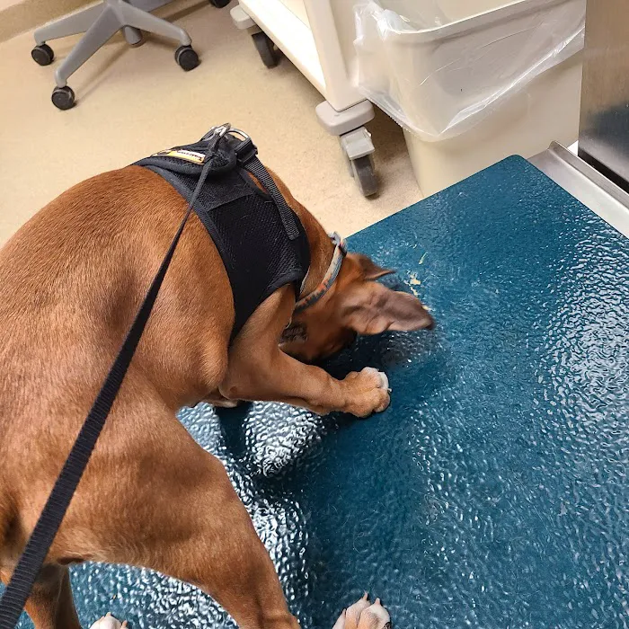 Fort Campbell Veterinary Center Picture 9