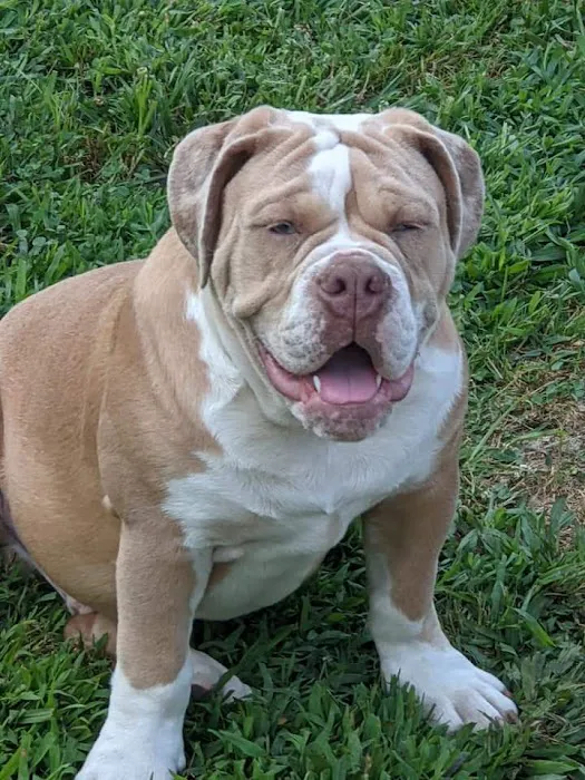 Trigg County Veterinary Clinic Picture 1