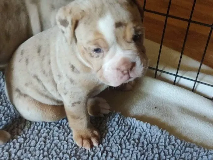 Trigg County Veterinary Clinic Picture 2