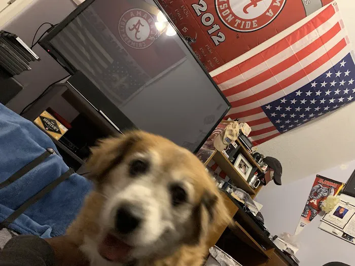 Trigg County Veterinary Clinic Picture 5