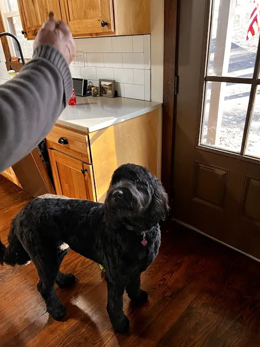 Trigg County Veterinary Clinic Picture 3