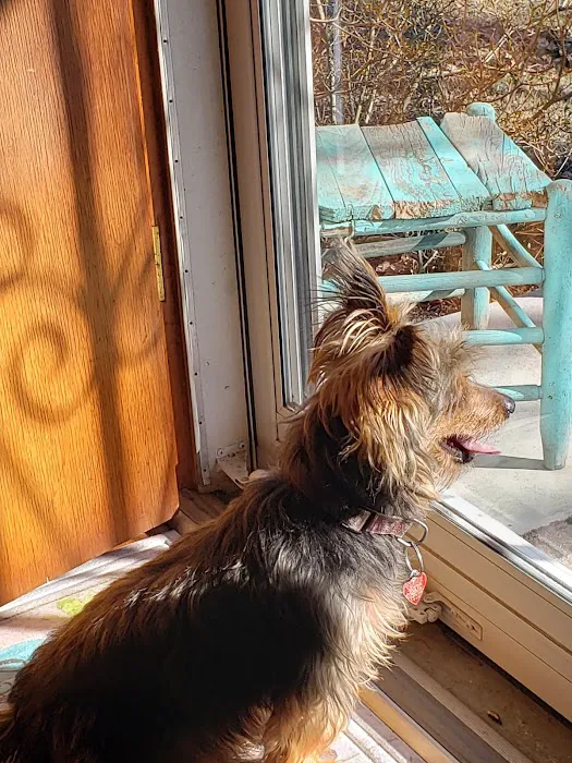 Trigg County Veterinary Clinic Picture 9