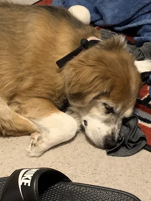 Trigg County Veterinary Clinic Picture 6