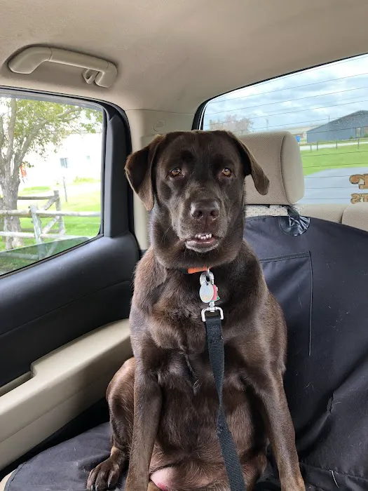 Trigg County Veterinary Clinic Picture 7