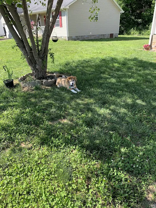 Trigg County Veterinary Clinic Picture 8