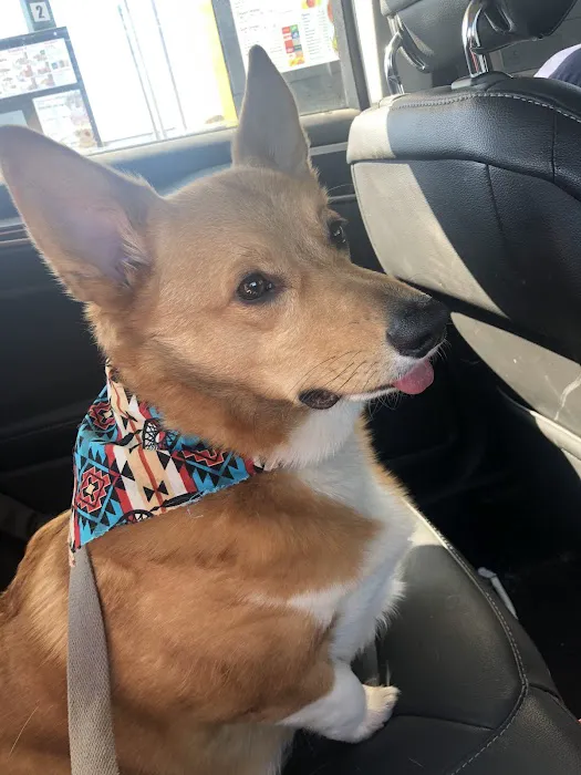 Trigg County Veterinary Clinic Picture 10