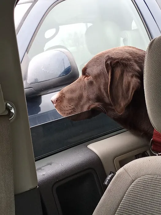 Little River Veterinary Clinic Picture 4