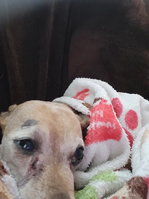 Little River Veterinary Clinic Picture 5