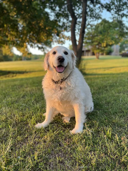 Little River Veterinary Clinic Picture 1