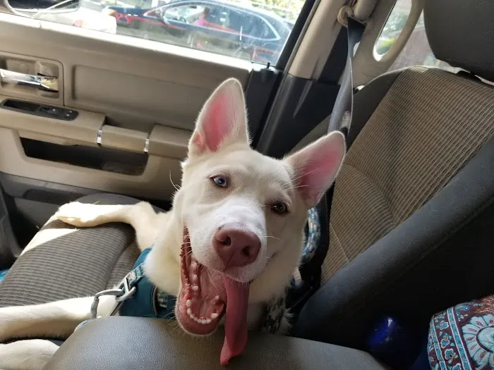 Little River Veterinary Clinic Picture 6