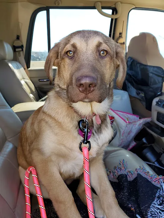 Little River Veterinary Clinic Picture 8