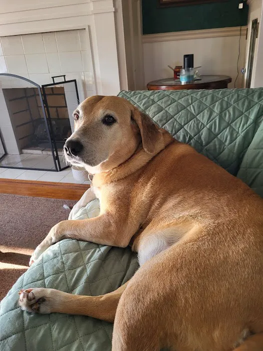 Little River Veterinary Clinic Picture 7