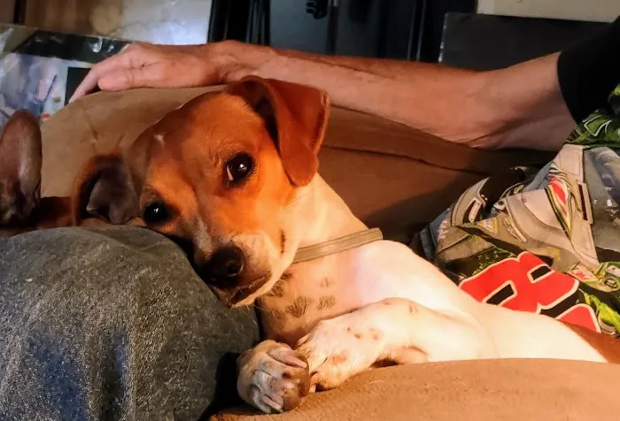 Little River Veterinary Clinic Picture 9