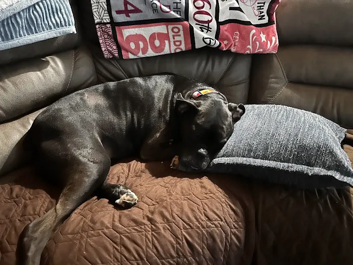 Country Veterinary Clinic Picture 2